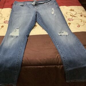 Torrid jeans